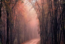 孙颖莎、王楚钦等国乒队员向WTT建言新华社.