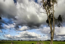 意外!曝德赫亚无缘世界杯 落选西班牙55人大名单.