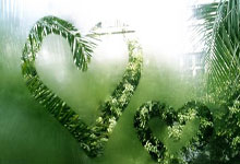 CBA:豪取九连胜 北京北汽队113-101天津男篮.