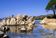 森林狼险胜快船终结4连败 魔术大胜篮网5连胜.